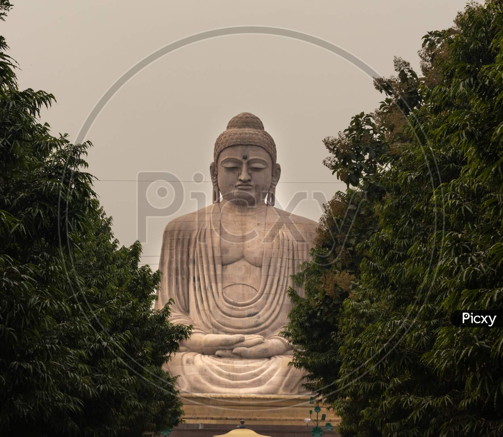 Giant Buddha Statue The Pride Of Buddhism