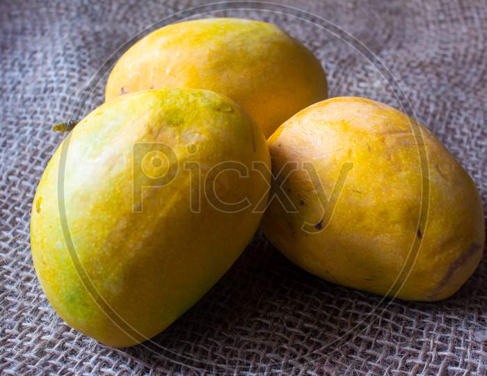 View Of Yellow And Ripe Alphonso Mangoes