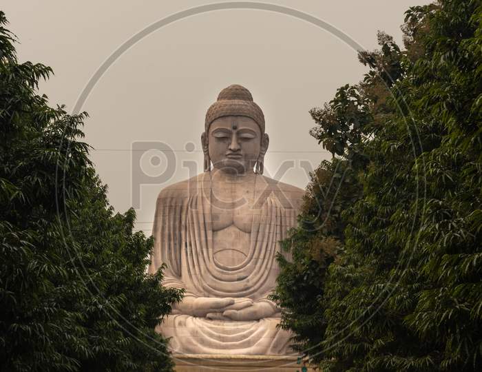 Giant Buddha Statue The Pride Of Buddhism