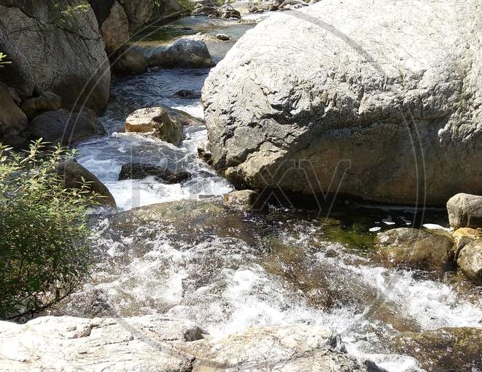 Spring water with rocks in forest
