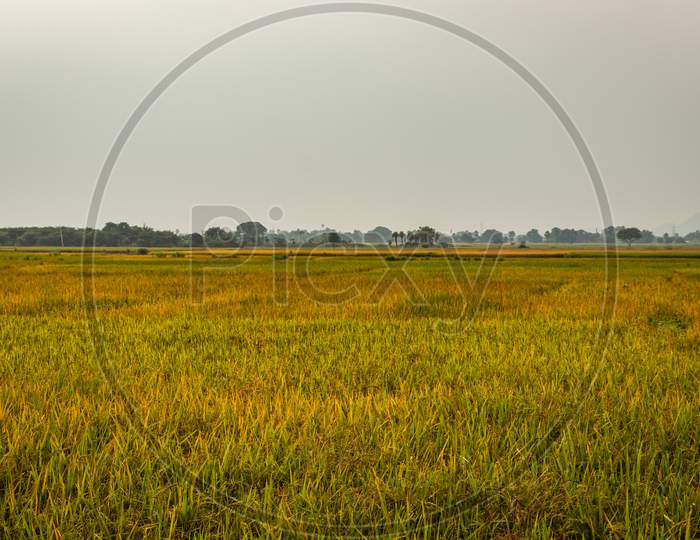 Crop Farming Fields In Countryside Rural Village Area With Mountain Background