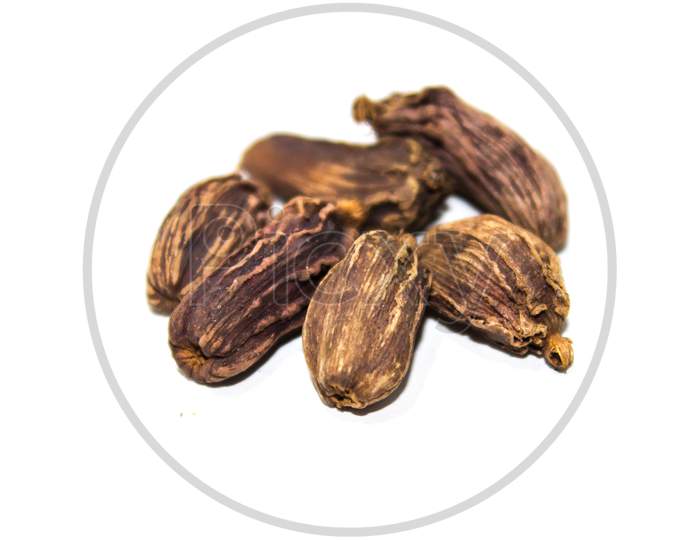 A picture of black cardamom