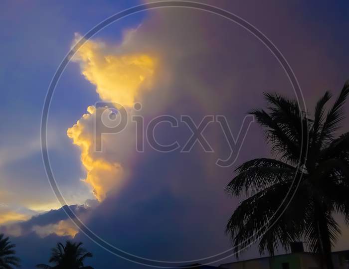 Clouds emerging evening time and coconut tree Lockdown covid-19