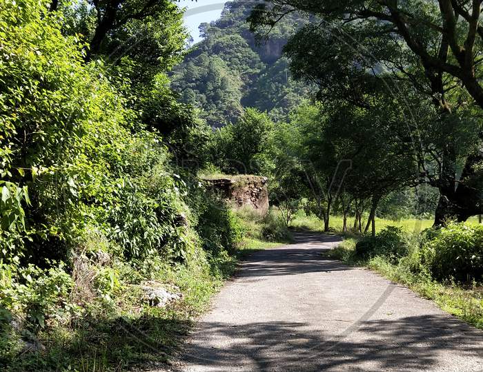 Road in village landscape