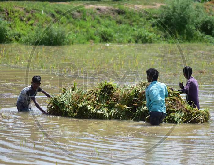 Farmers Carrying Paddy On A Makeshift Raft Wade Through Flood Water At A Village In Hojai District Of Assam, Thursday, May 28, 2020.