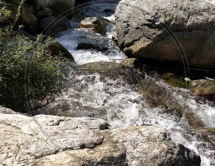 Spring Water and rocks in forest