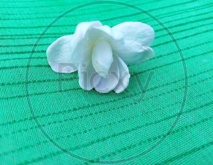 White Jasmine flower in home clothing