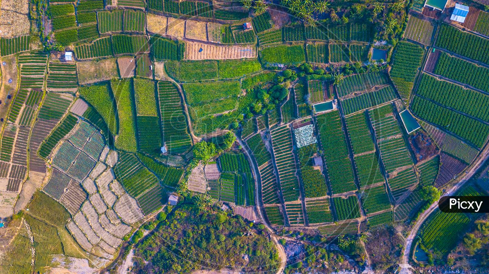 An aerial view of an agriculture field