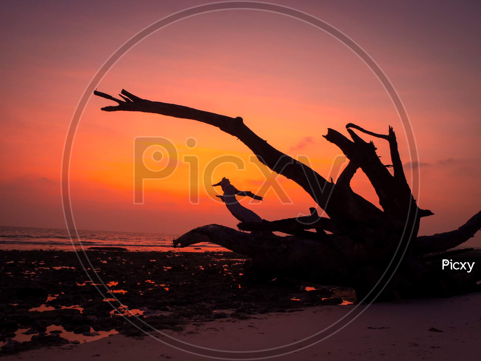 Sunrise in Kalaptthar beach, Havelock island, Andaman