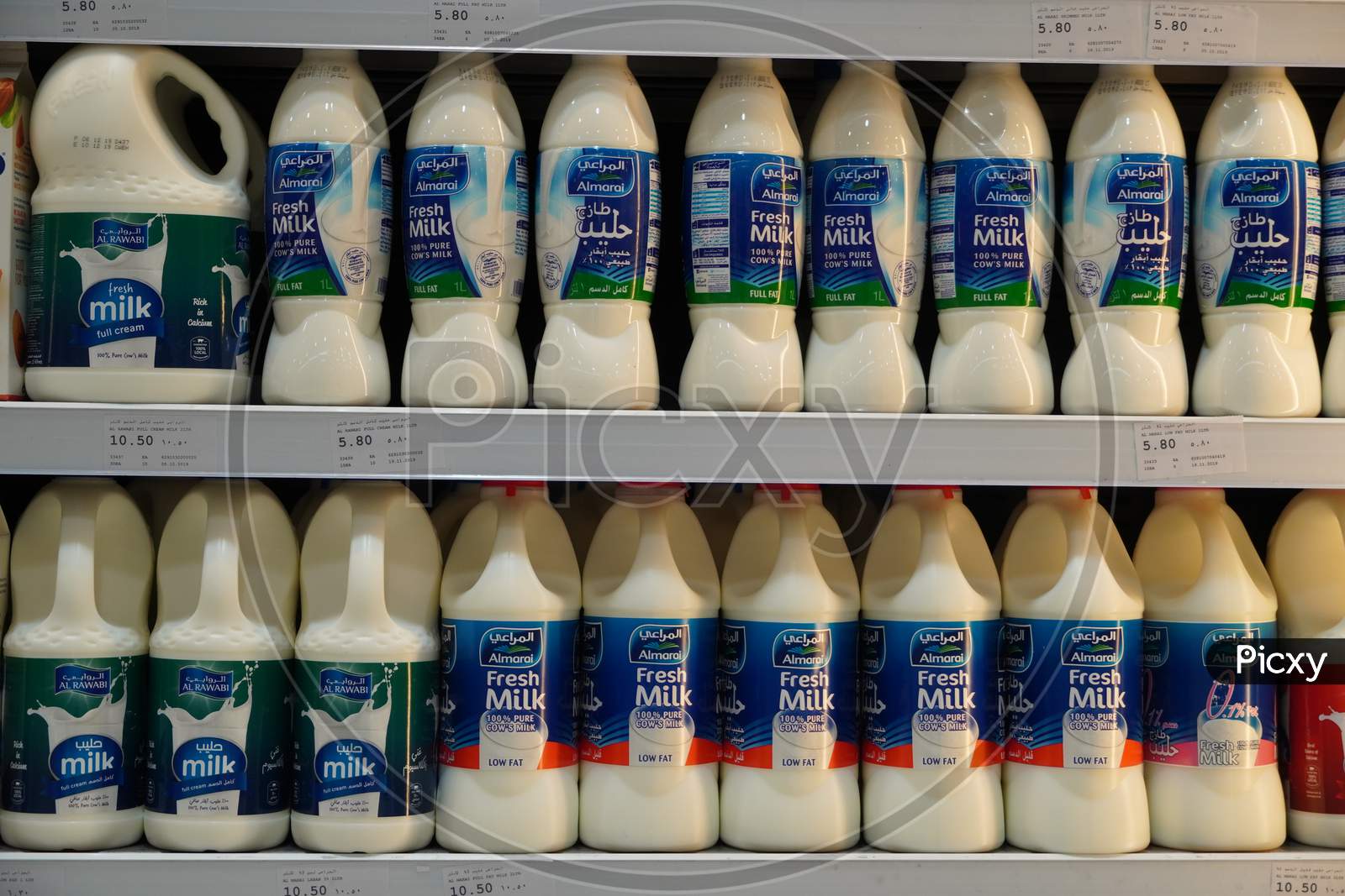 Dubai Uae December 2019 Milk Bottles Arranged On Shelves For Sale. Variety Of Sizes. Also Present Flavored Milk Strawberry Milk, Camel Milk, Coconut Milk, Almond Milk. Almarai Brand Milk Bottles.