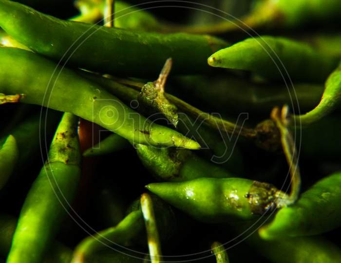 Bunch of green chilies on table , Close up photo of green chili, Spicy green chilies for daily purpose usage in food