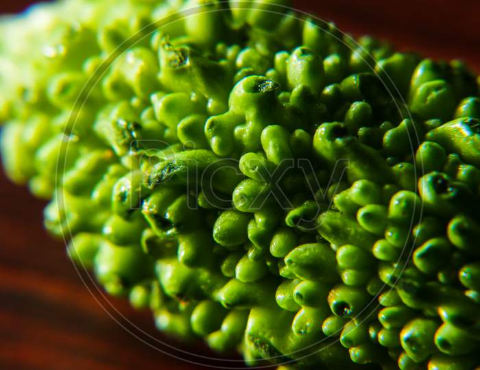 Close up photo of bitter gourd, a fresh green healthy vegetable with bitter taste. Upper texture of bitter gourd. Macro photography of vegetable