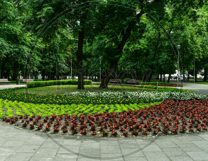Blooming flower beds in Bernardine park in Vilnius Lithuania. Urban nature in spring. Flowers in bloom in flowerbeds