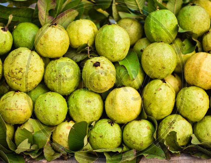 Indian fresh monsoon guava fruits on a street fruits market