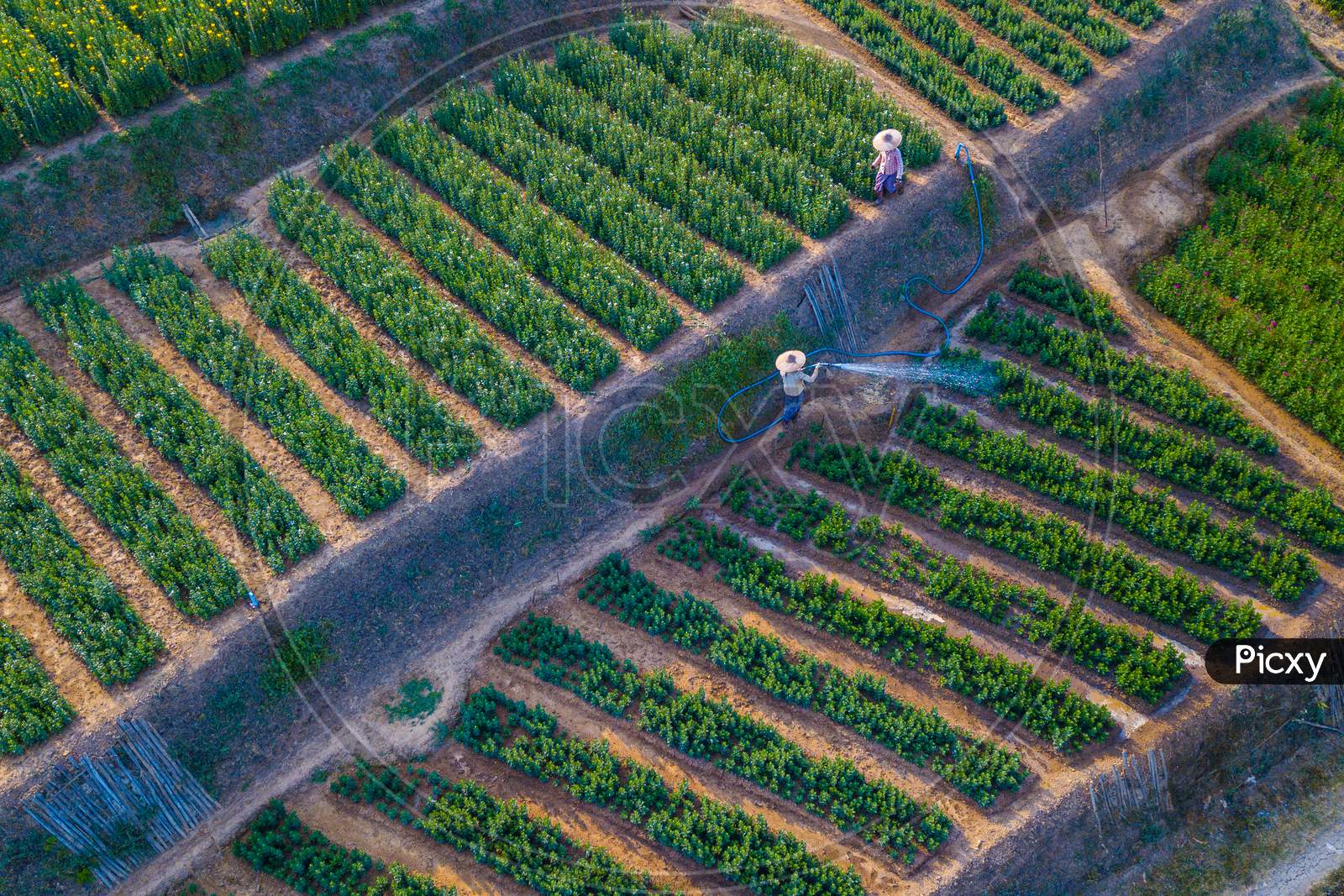 An aerial view of farmers watering an agricultural field