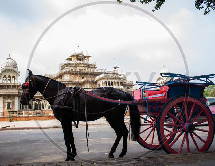 A horse with carriage near albert hall museum jaipur