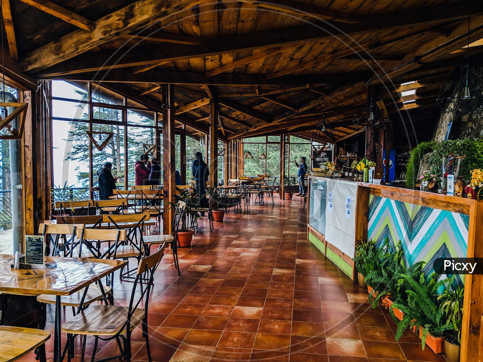 Shimla, Himachal Pradesh,India-January 2019:Cafe  in dark forest , Highest cafe in Shimla,Hill station in Himachala pradesh, empty table chairs on floor, room covered with glass surrounded by trees