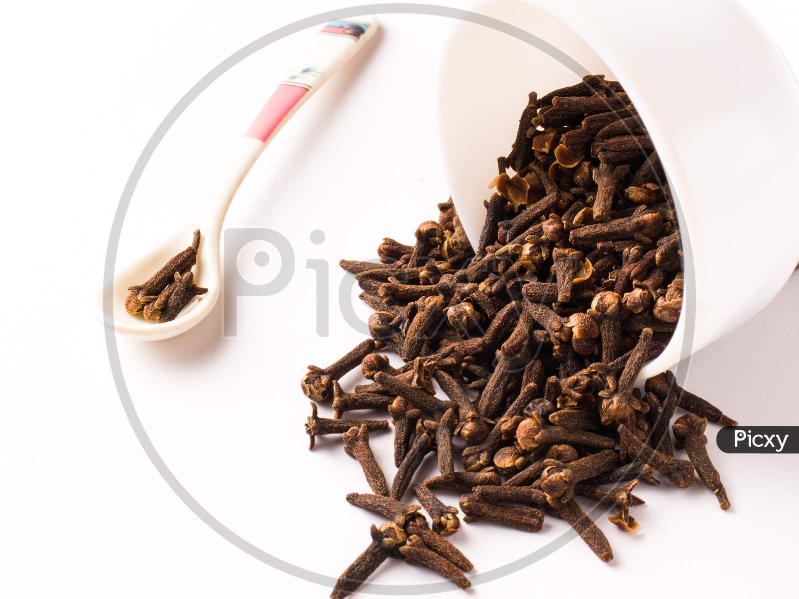Dried Clove / indian spice laung isolated stock photo with white background.
