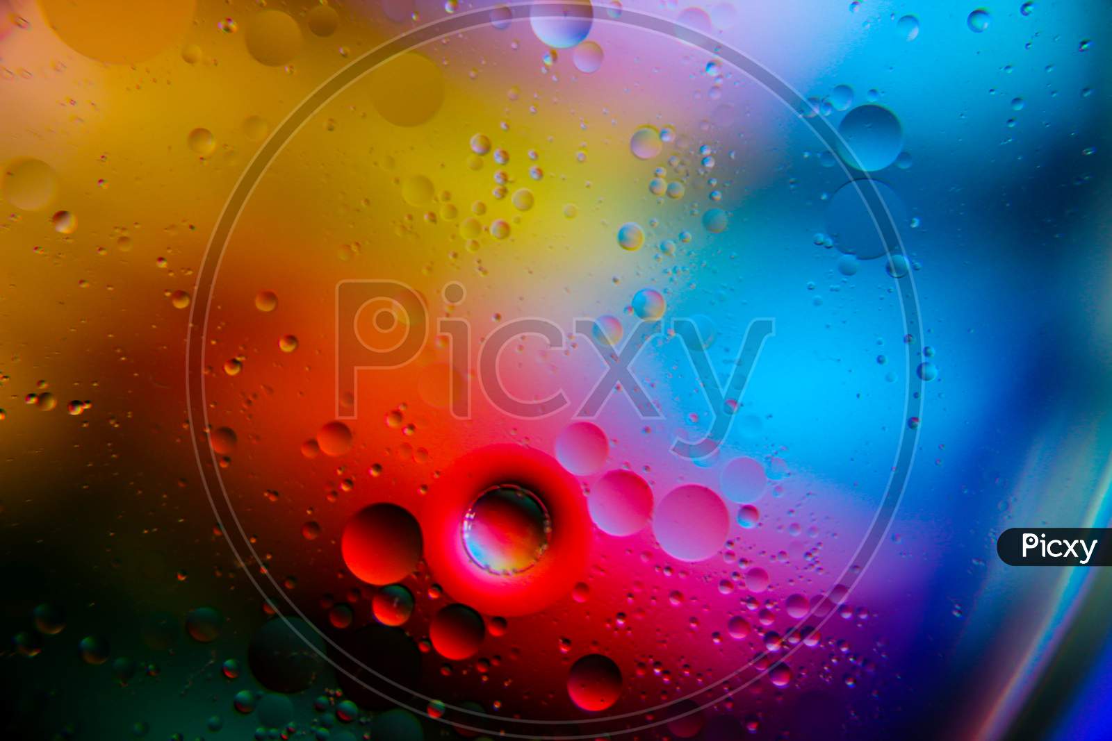 colorful oil bubbles on water , abstract colorful blurred background pattern,selective focus on bubbles on top of water surface