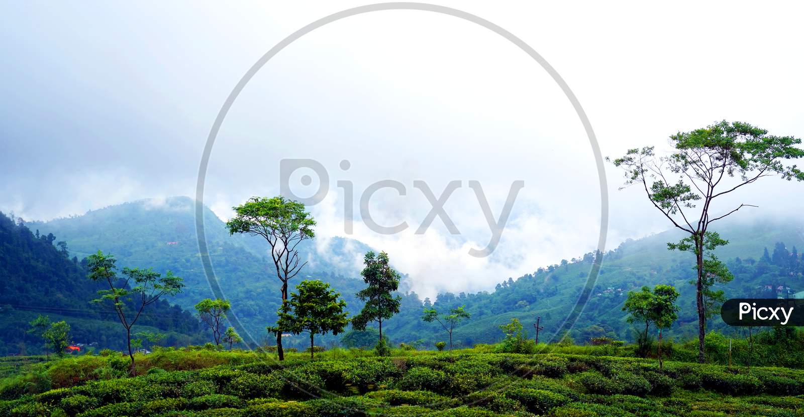 Darjeeling is a town in India's West Bengal state, in the Himalayan foothills.
