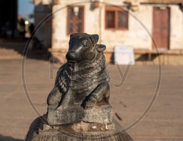 Nandi Statue in Virupaksha Temple Hampi