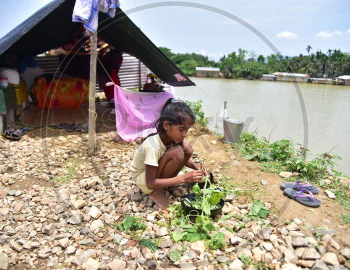 A  Girl cooks veggies beside Her Makeshift Shelter  Near A Railway Track In Hojai District Of Assam On May 30,2020.