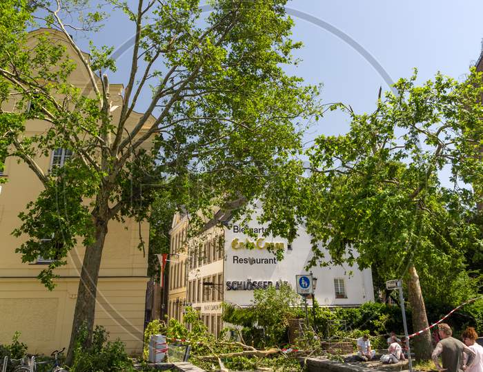 Dusseldorf, Germany - June 10: Broken Tree In The City Center On
