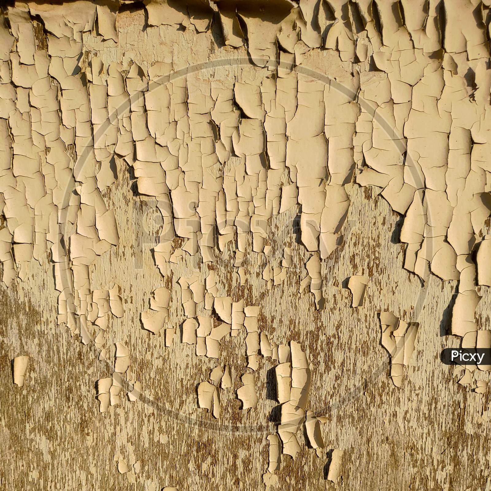A closeup photo of chipped white paint on a wooden wall
