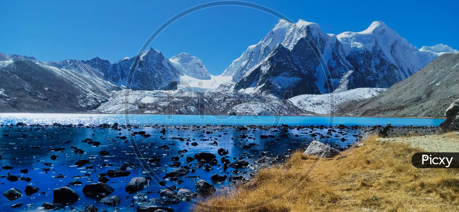 Closest View Of Gurudongmar Lake With Mountain In North Sikkim.
