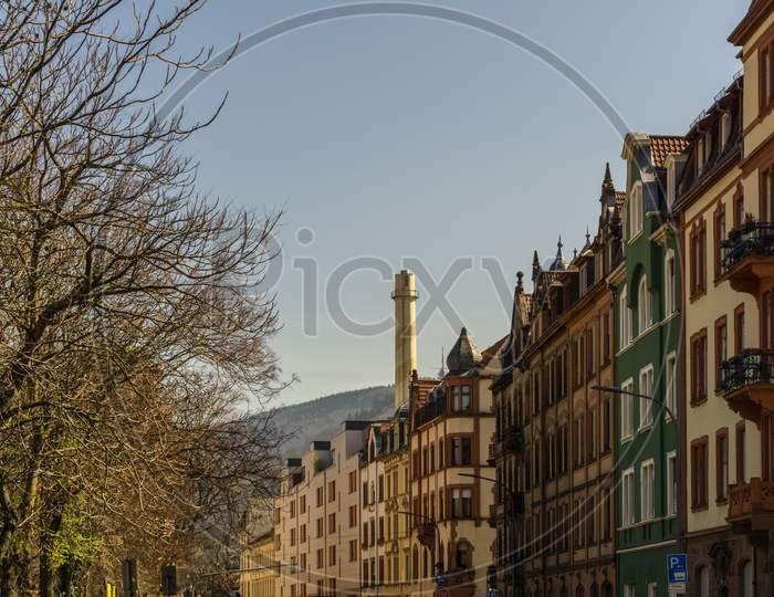 Old Buildings And Trees In A Street In Heidelberg