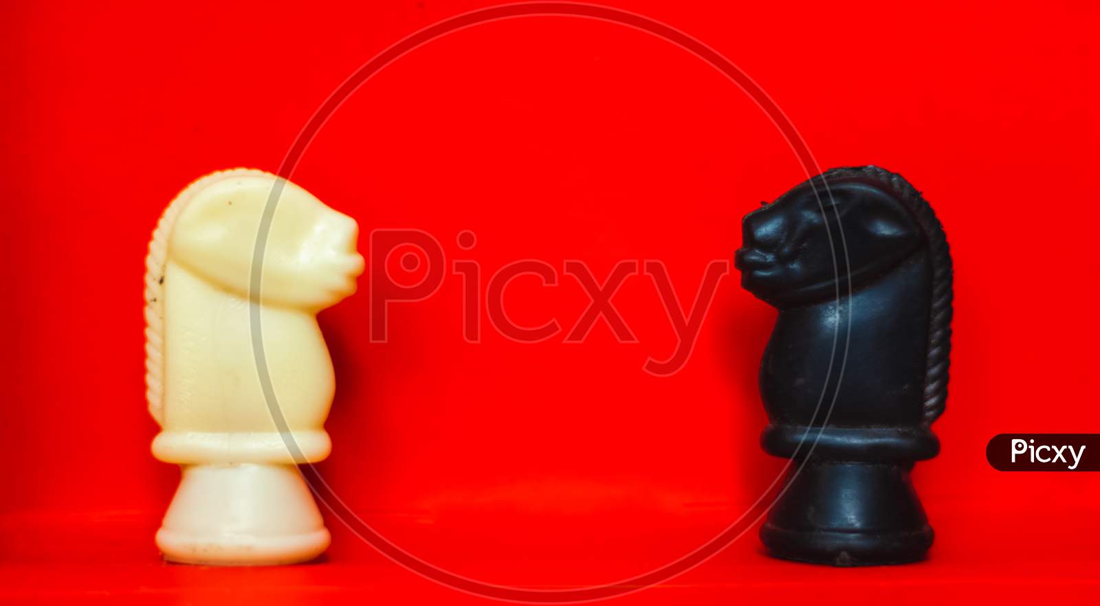 Chess Pieces Knights Facing Each Other For A Standoff With Blurred Isolated On Red Background. Confrontation Of Chess Pieces.Chess Pieces Knights On Chess War Field. Chess Knights Head To Head