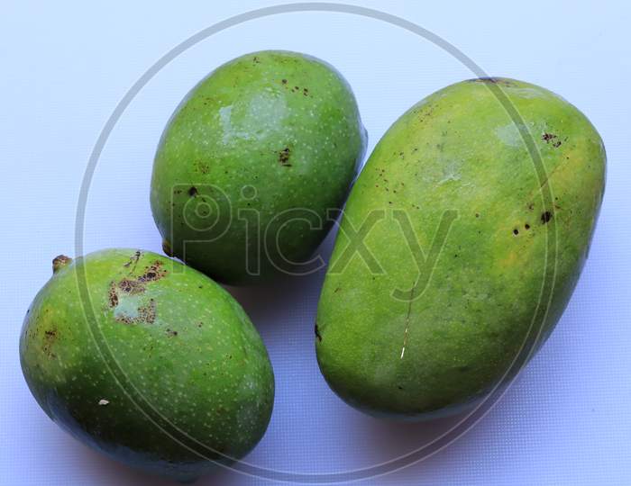 Fresh Green Mango fruit isolated on white background