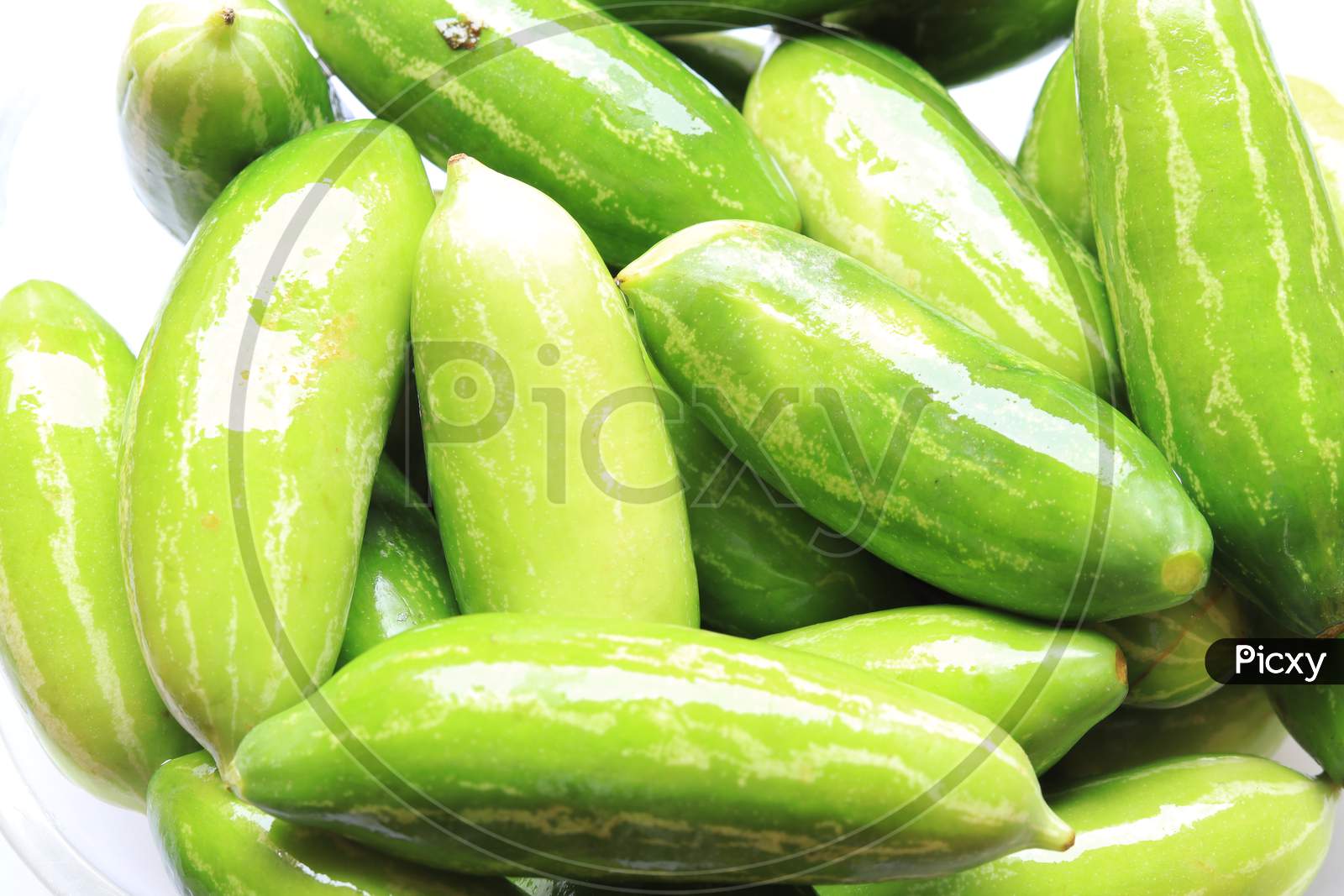 Organic Raw green Coccinia grandis or Ivy gourd on a white background