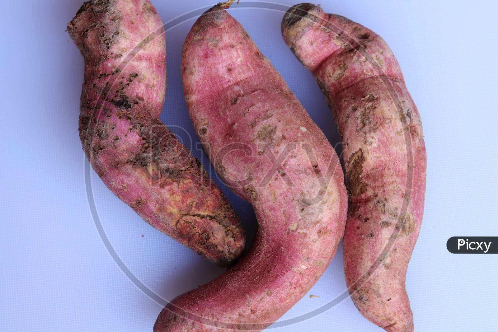 Fresh sweet potato with root at farmer market as a food background
