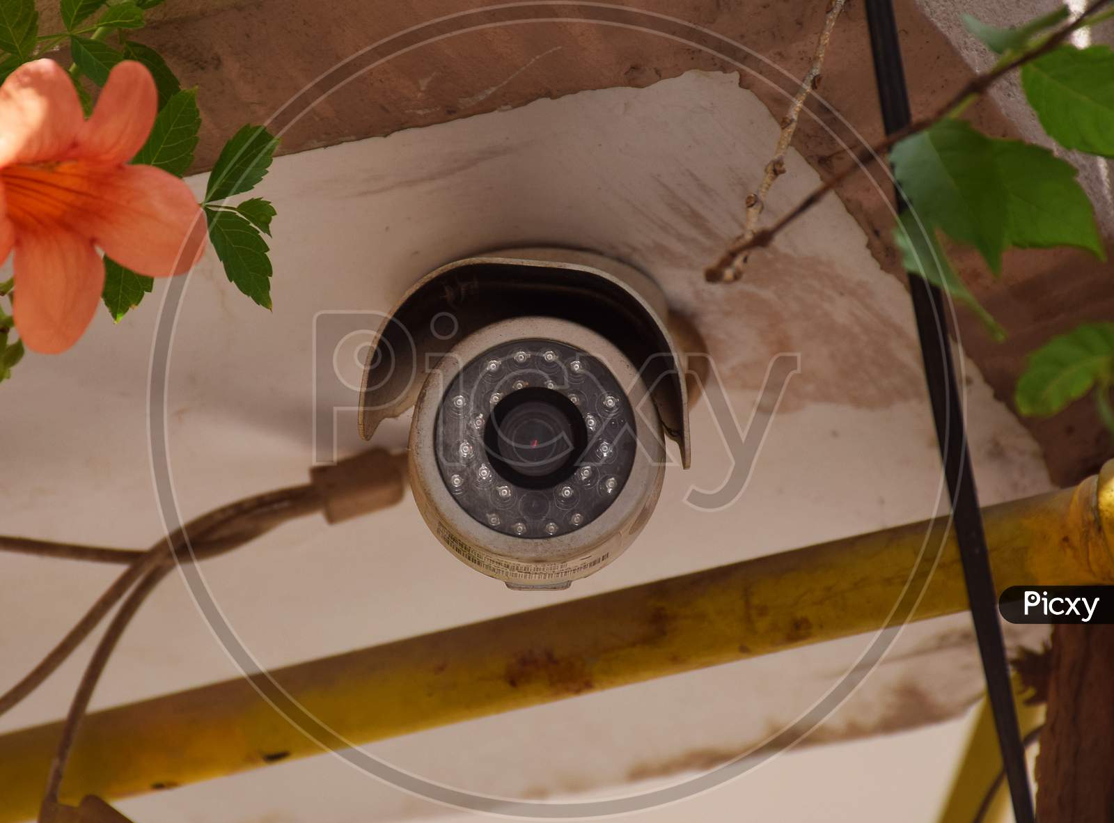 Surveillance Camera of a society