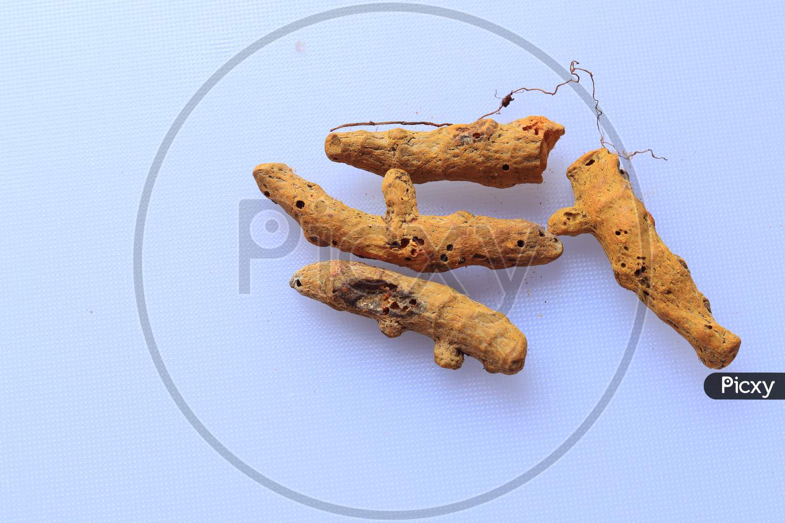 Fresh Dried Turmeric root isolated on a white background