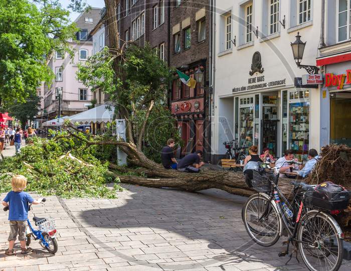 Dusseldorf, Germany - June 10: Uprooted Tree In The City Center