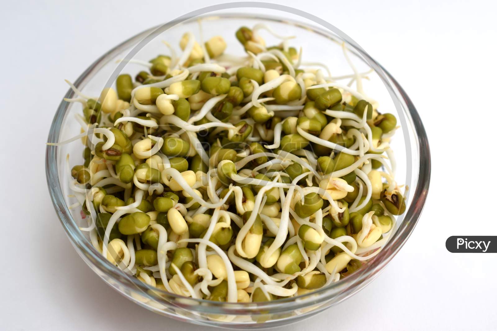 Sprout Beans Healthy Food For Fitness