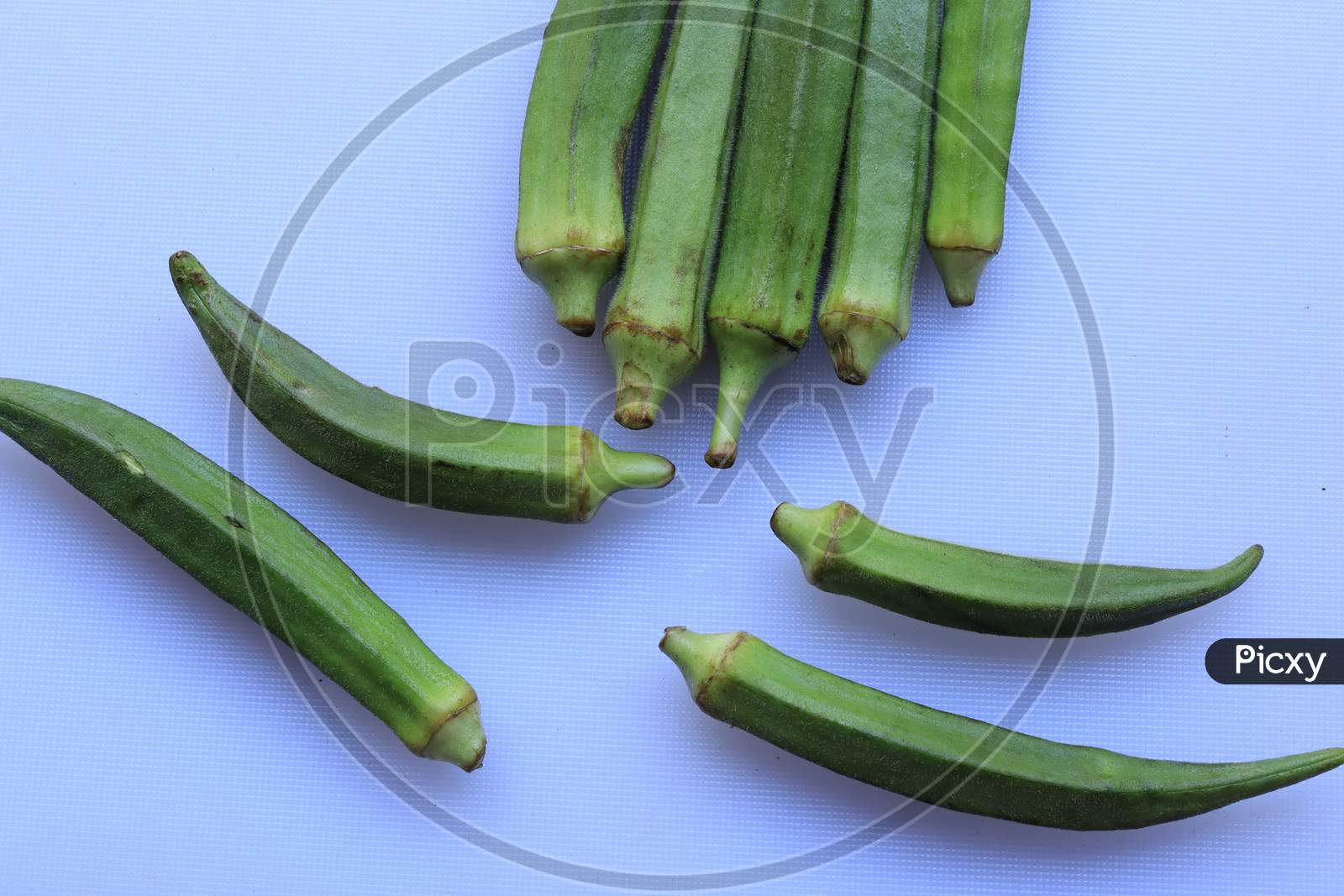 Fresh Young Lady Fingers or Okra in white background