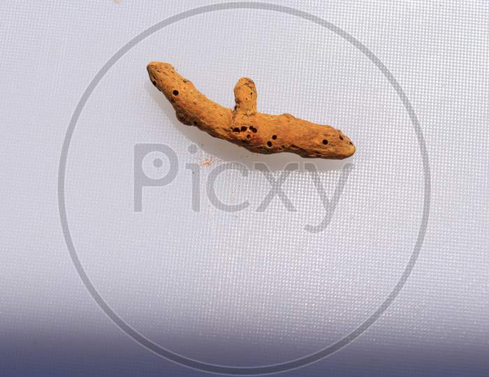 Fresh Dried Turmeric root isolated on a white background