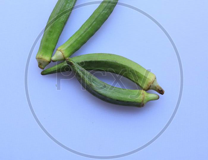 Fresh Young Lady Fingers or Okra in white background
