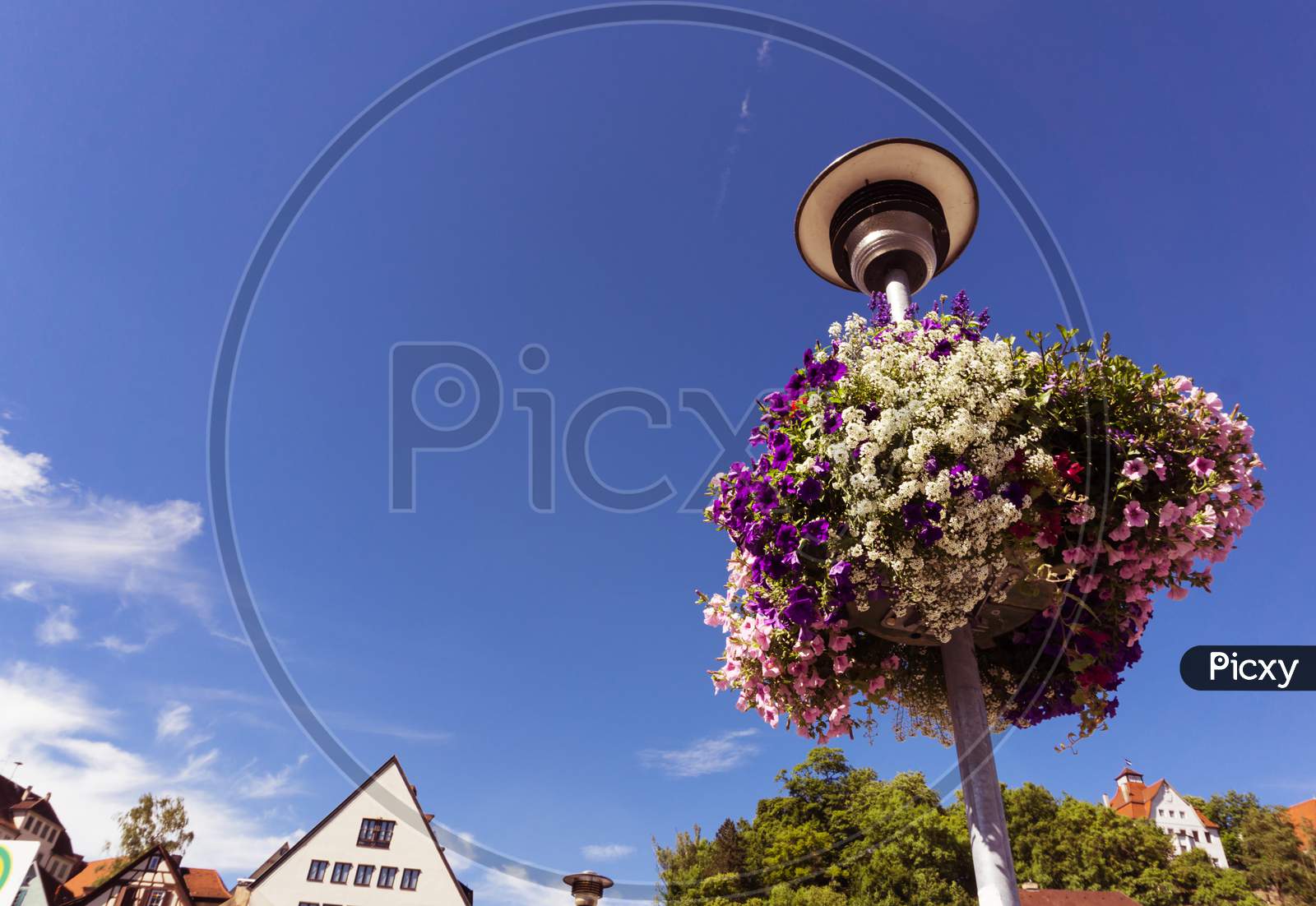 A Bunch Of Colorful Flowers On A Lamp Post