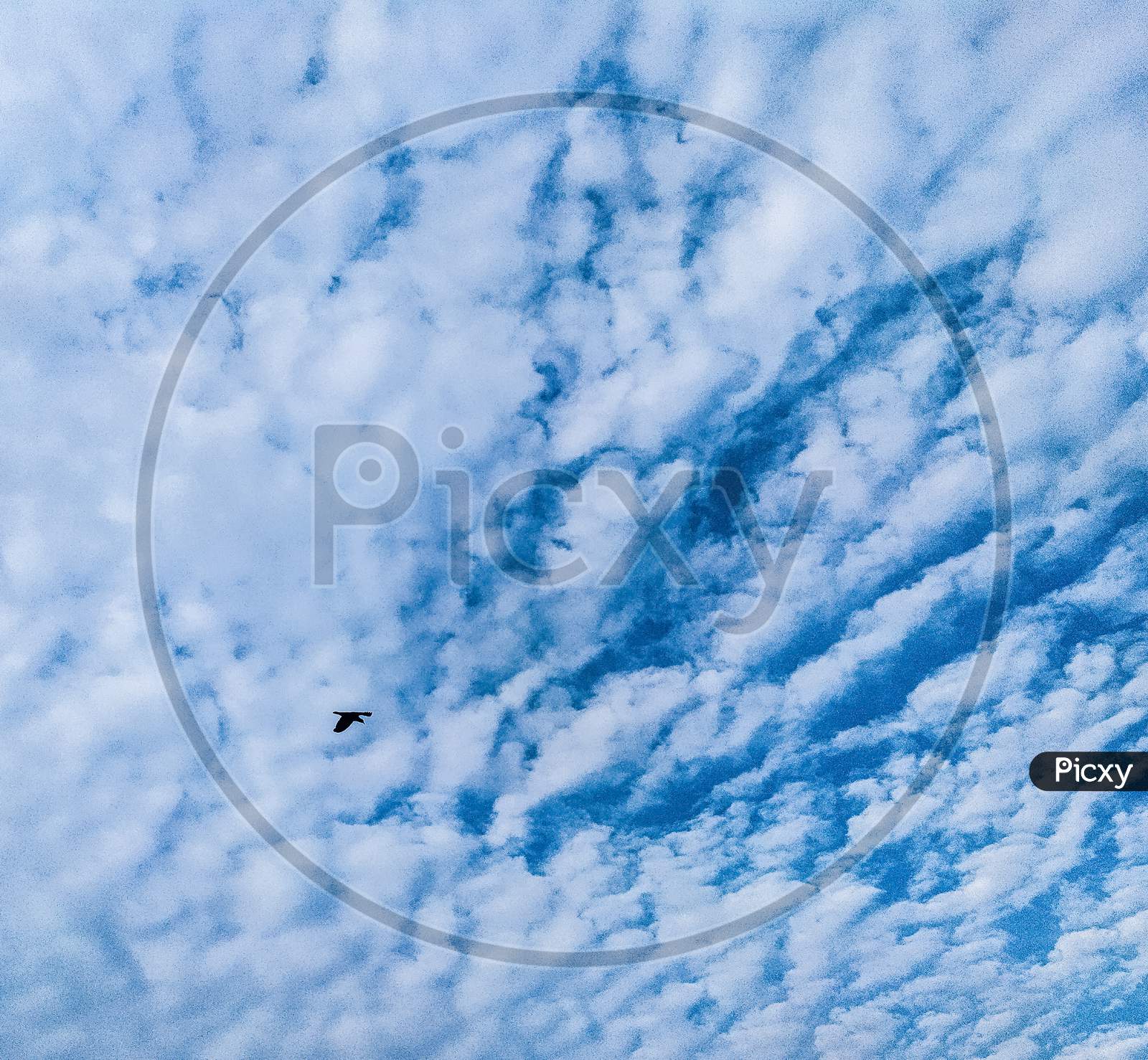 image-of-a-bird-flying-in-a-group-of-heavy-clouds-mb285830-picxy