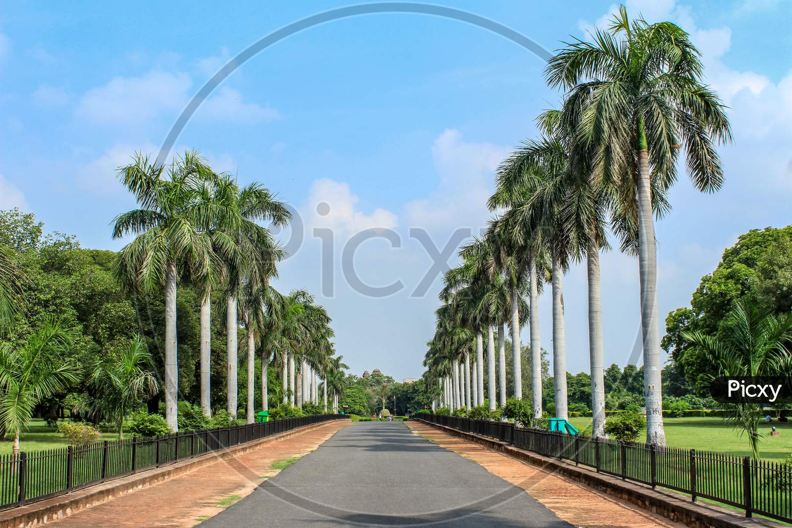 Landscape Of A Road In The Middle With Tress On The Either Sides Of It.