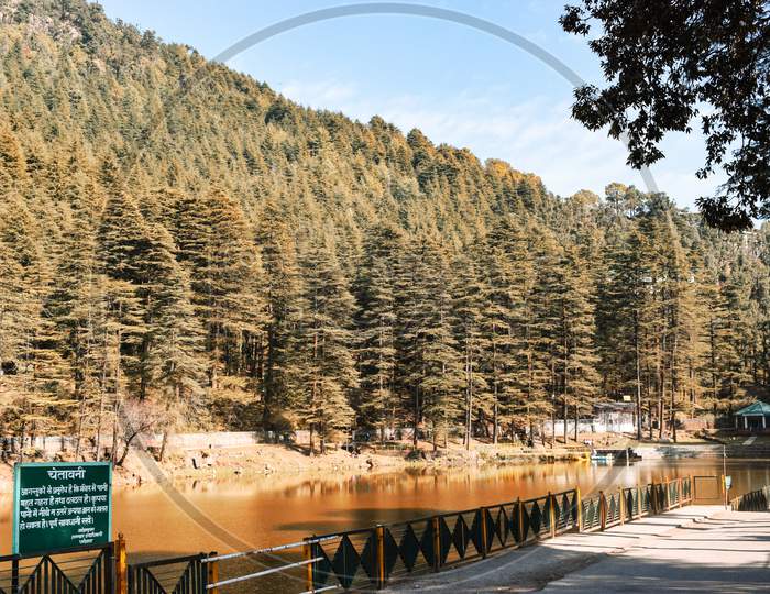 Dharamshala,2019: Tourist location in Dharamshala surrounded by dense forest and lake