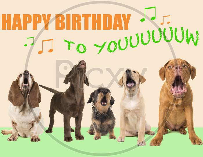 Group Of Dogs With Various Breeds Looking Up Singing On A Colored Background With The Text Happy Birthday To You