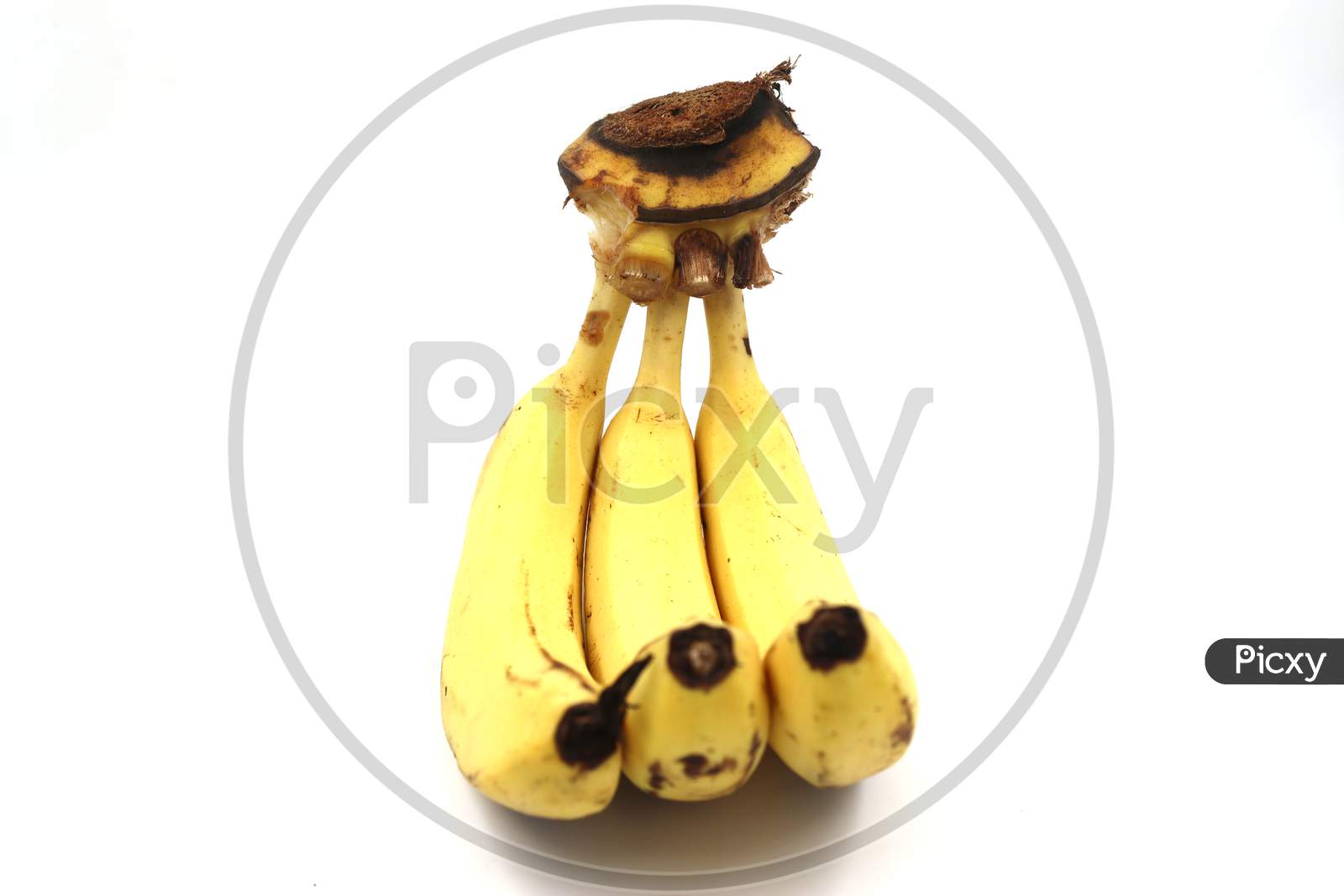 three banana on white background