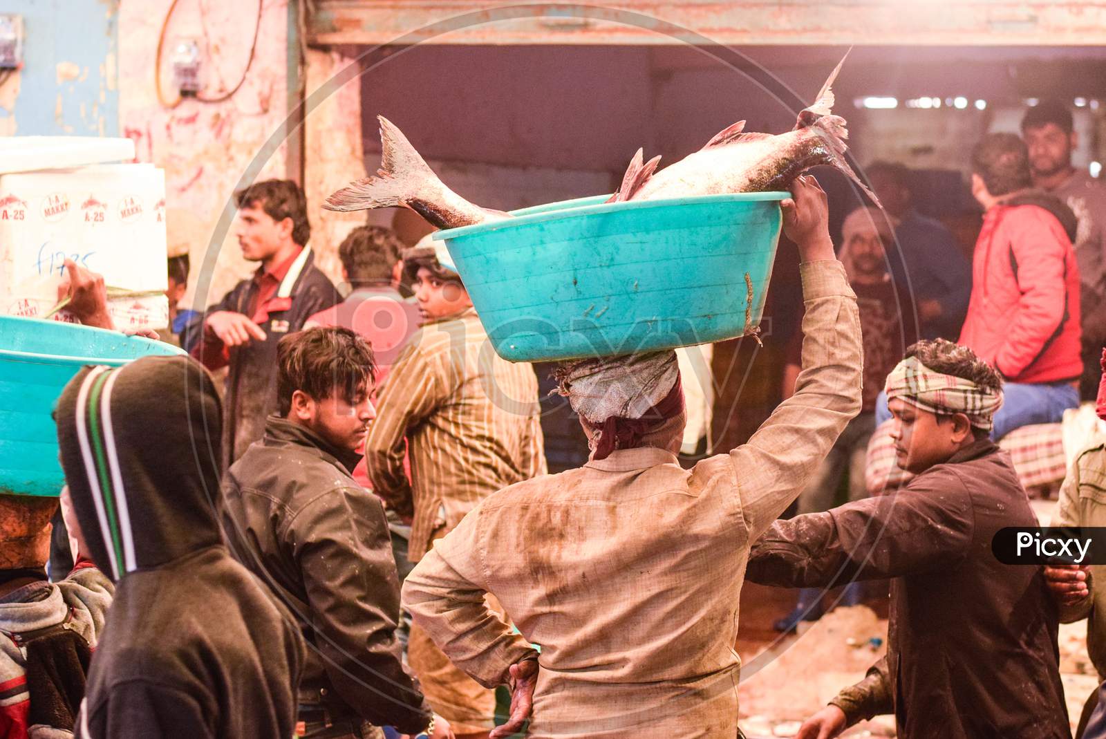 Delhi / India - June 01, 2019: Man Carrying Fish n a tub in a fish market in Delhi