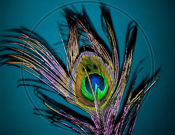 a colourful picture of peacock's feather.