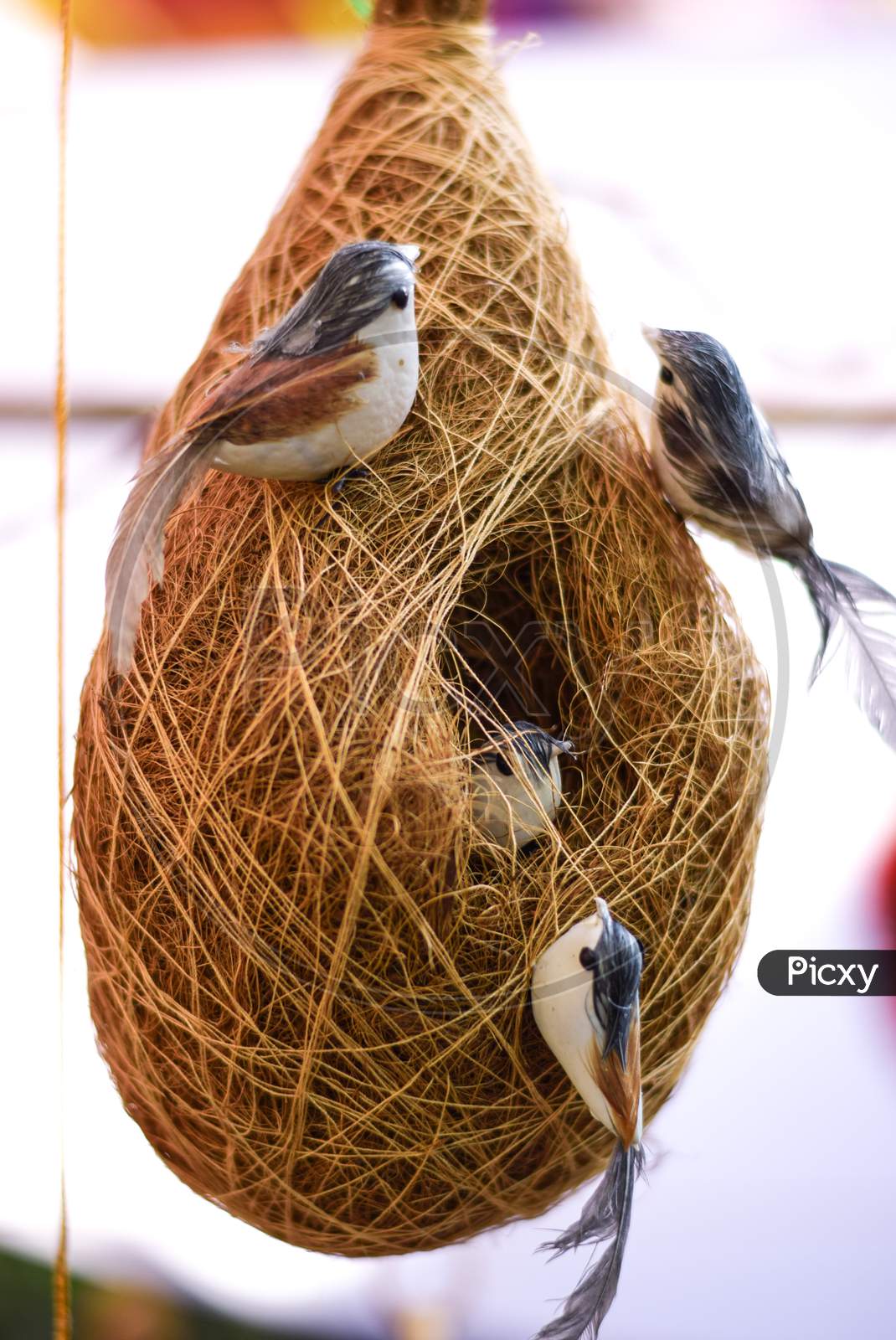 Sparrow hanging nest with multiple birds